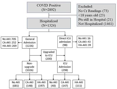 Longitudinal Clinical Profiles of Hospital vs. Community-Acquired Acute Kidney Injury in COVID-19